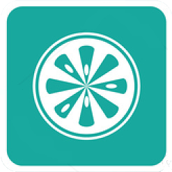 icon-green