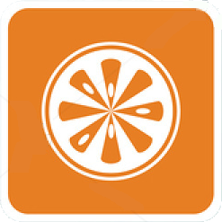 icon-orange